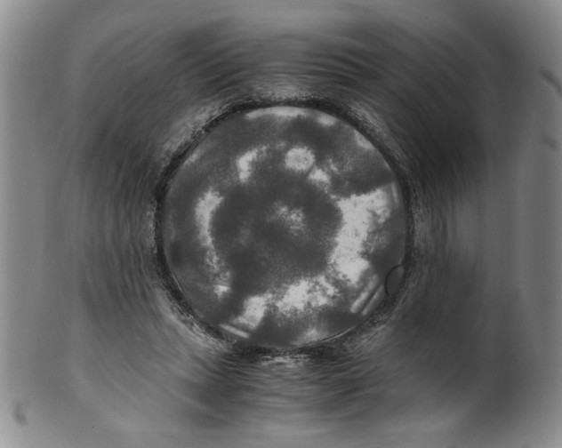 X0000100400447200806271424
