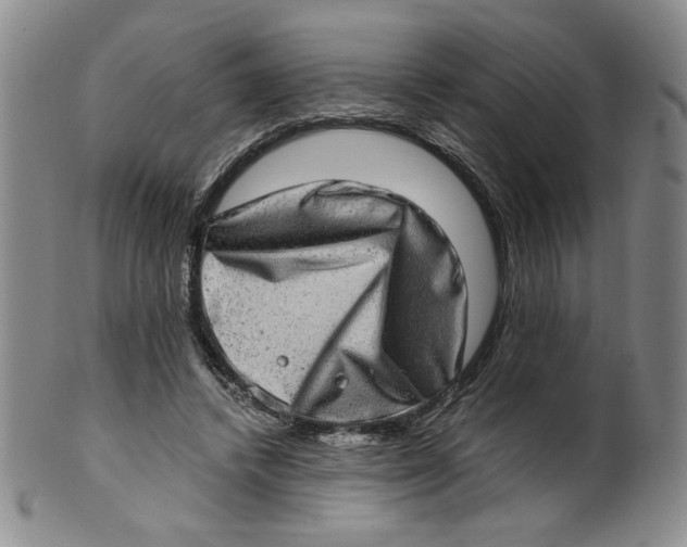 X0000100400448200806271424