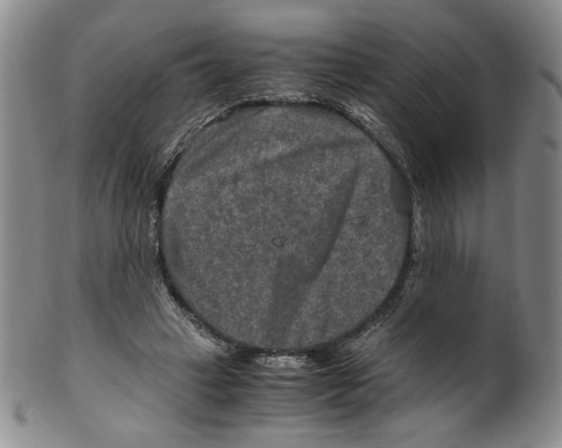 X0000100400449200806271424