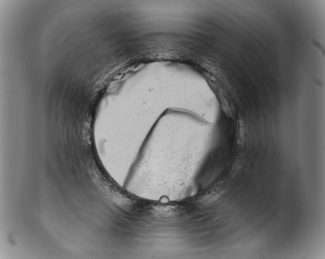 X0000100400450200806271424