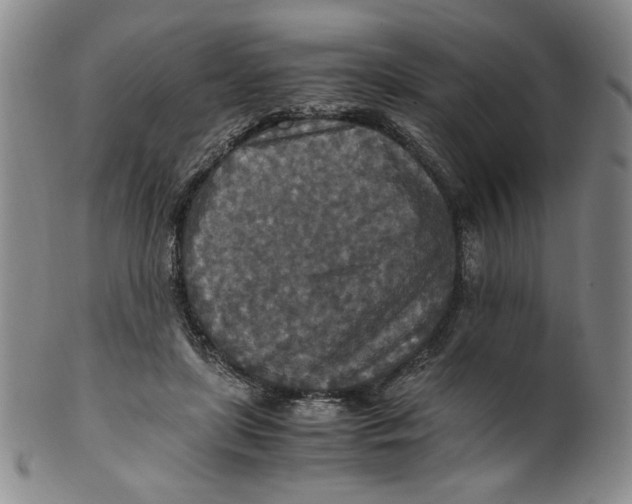 X0000100400451200806271424