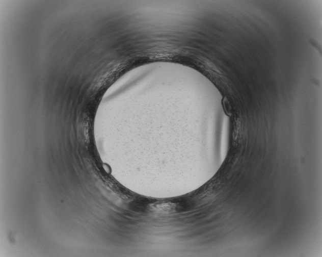 X0000100400452200806271424