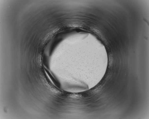 X0000100400453200806271424
