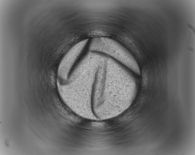 X0000100400457200806271424