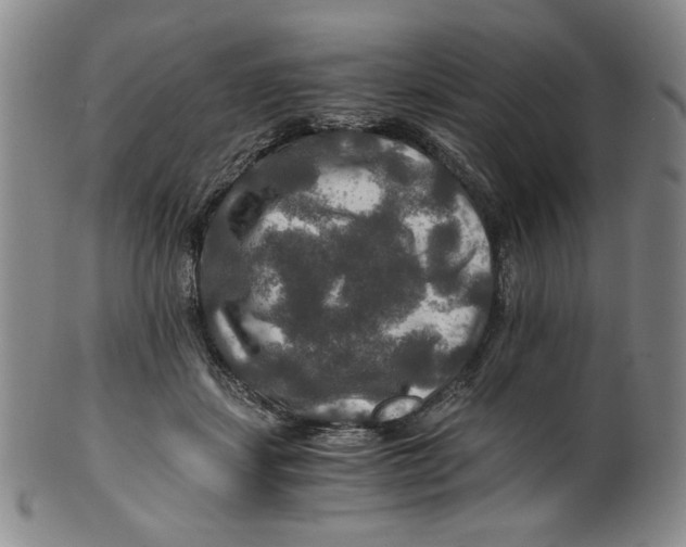 X0000100400459200806271424