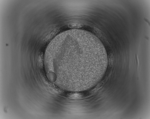 X0000100400460200806271424