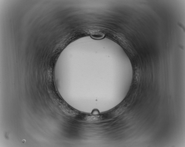 X0000100400461200806271424