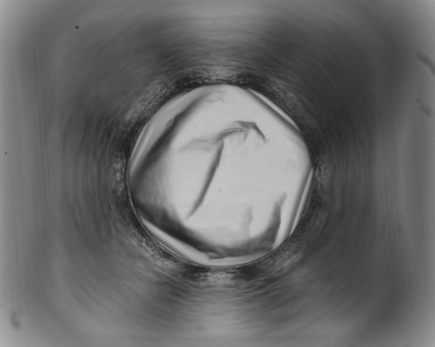 X0000100400462200806271424