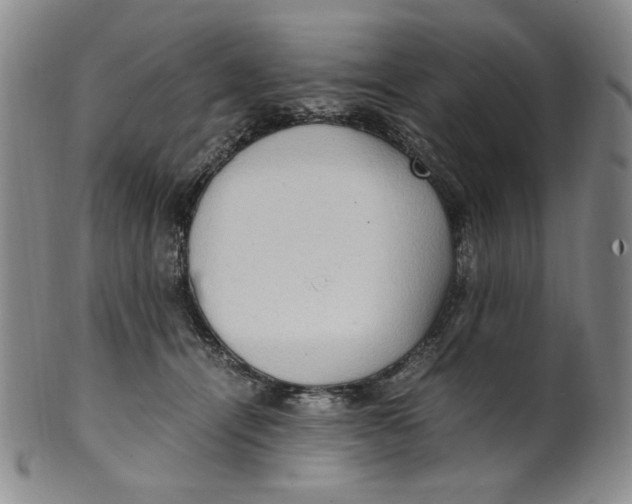X0000100400464200806271425