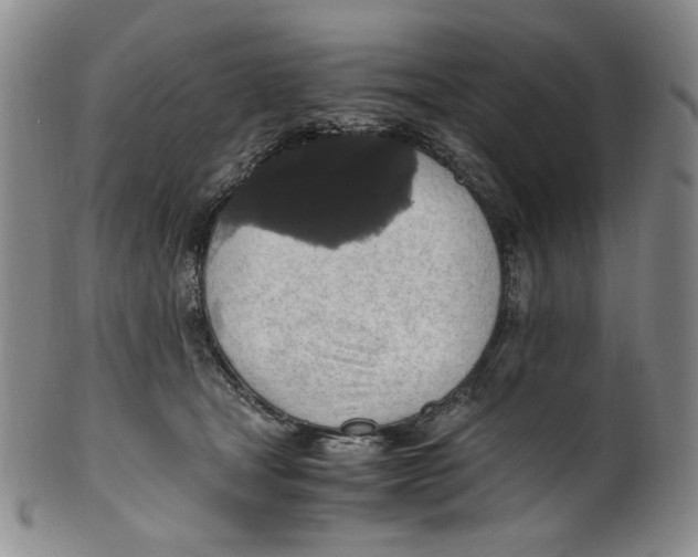 X0000100400465200806271425
