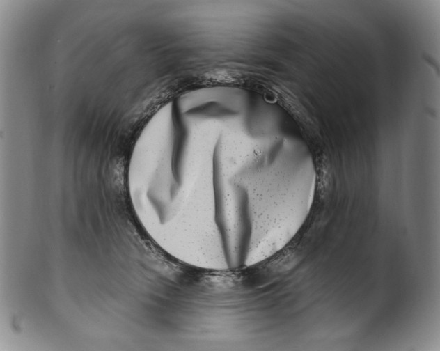 X0000100400466200806271425
