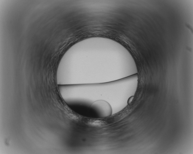 X0000100400467200806271425