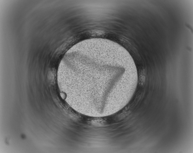 X0000100400468200806271425