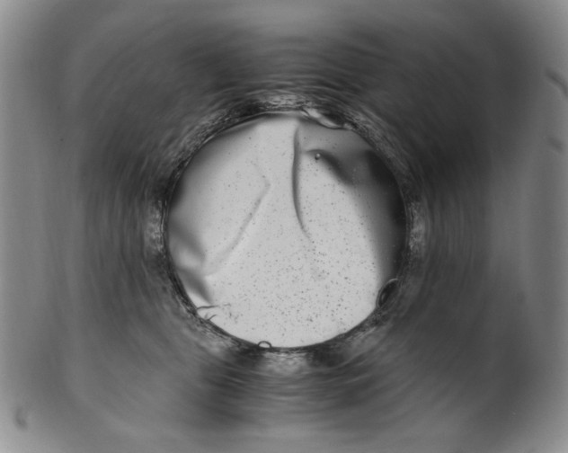 X0000100400469200806271425