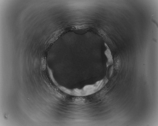 X0000100400471200806271425