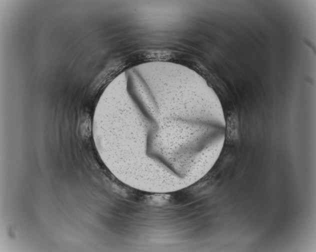 X0000100400474200806271425