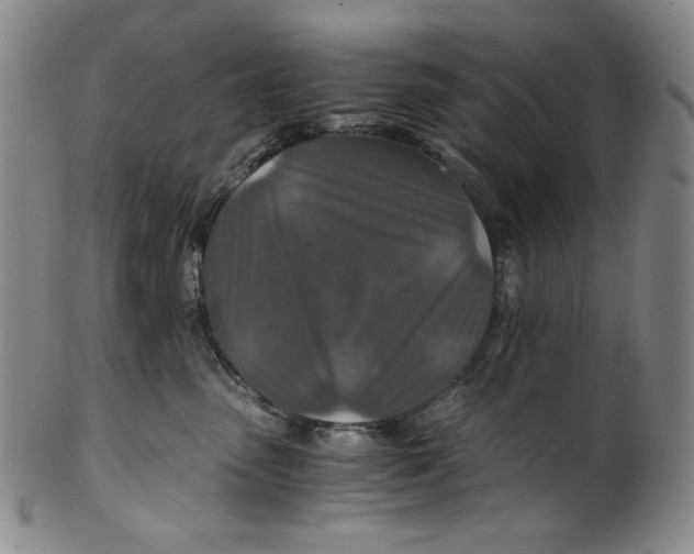 X0000100400475200806271425