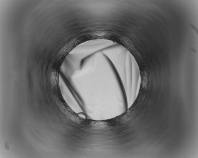 X0000100400476200806271425