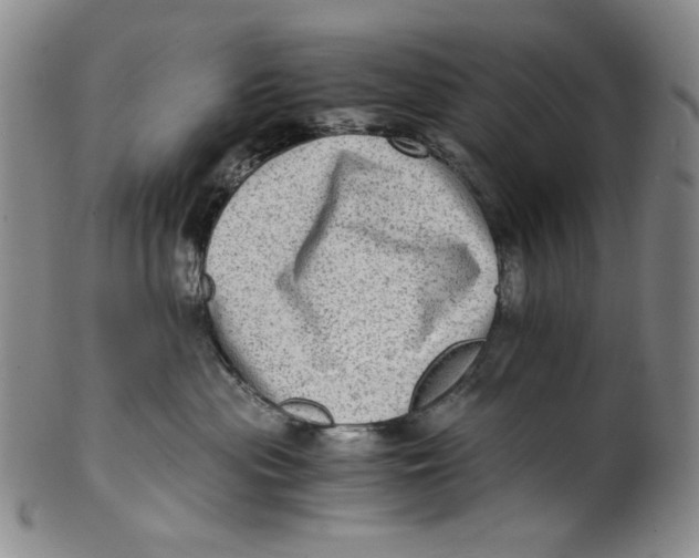 X0000100400477200806271425