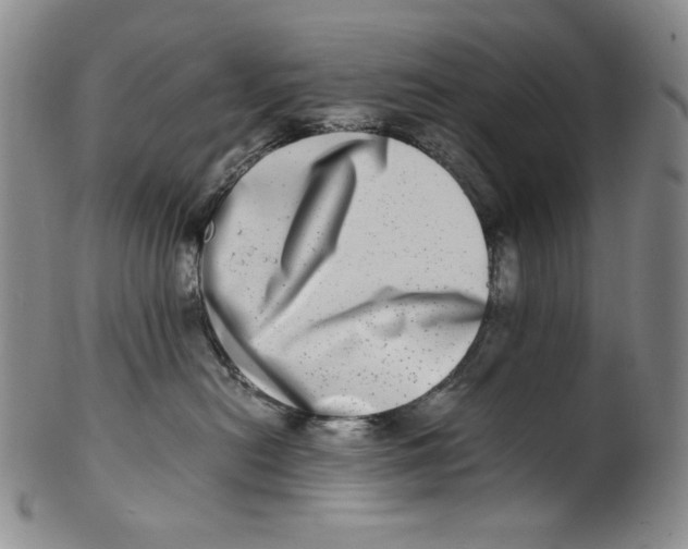 X0000100400478200806271425