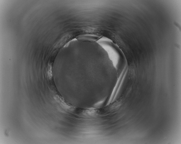 X0000100400479200806271425