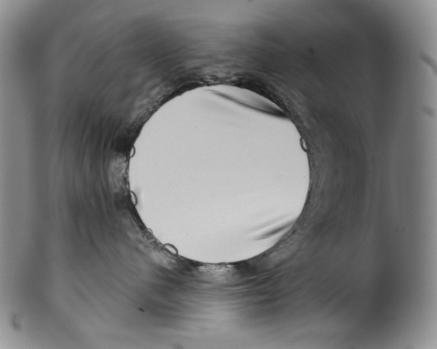 X0000100400480200806271425