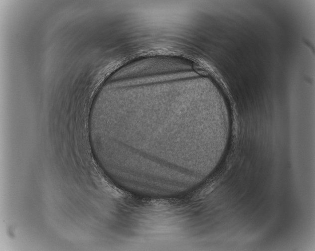 X0000100400481200806271424