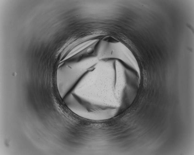 X0000100400482200806271424