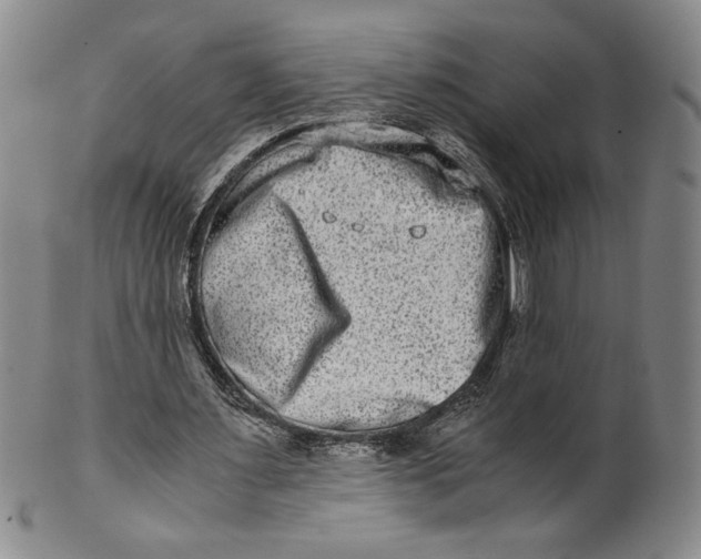 X0000100400483200806271424