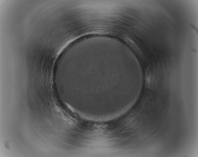 X0000100400484200806271424