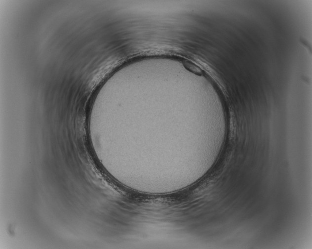 X0000100400485200806271424
