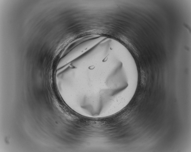 X0000100400486200806271424