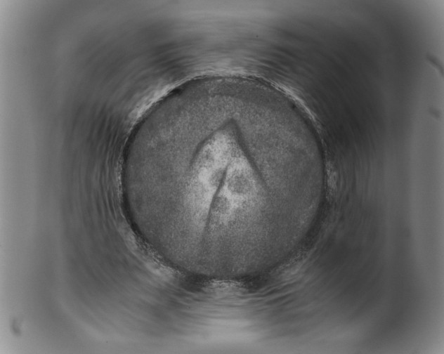 X0000100400487200806271424