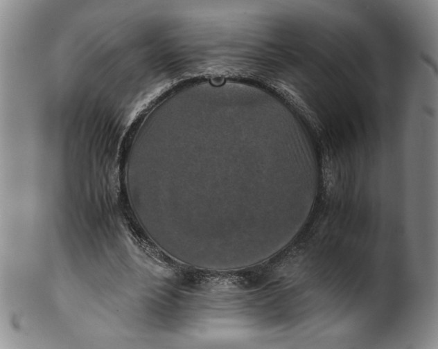 X0000100400488200806271424