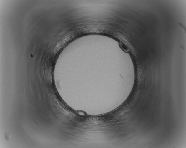 X0000100400489200806271424