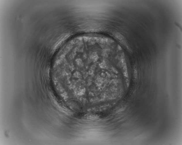 X0000100400491200806271424