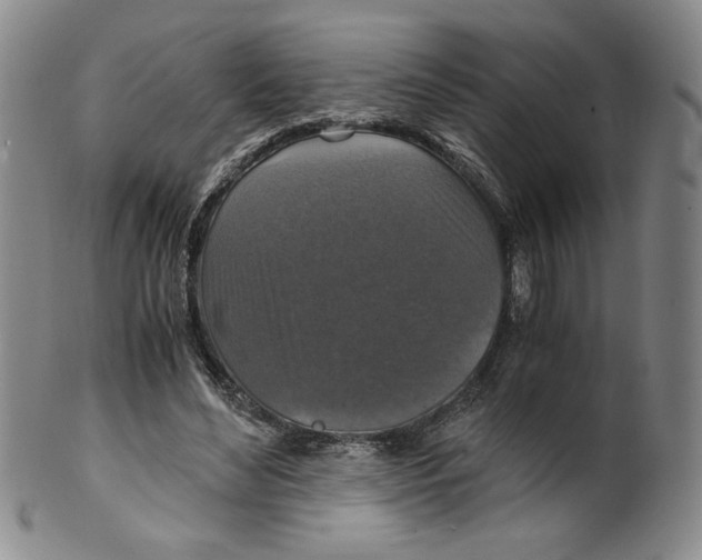 X0000100400492200806271424