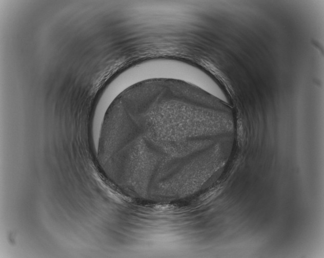 X0000100400493200806271424