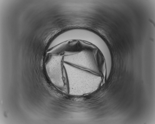 X0000100400495200806271424