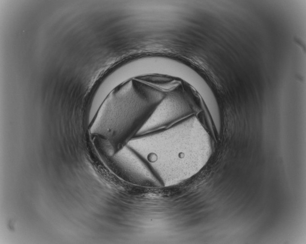 X0000100400496200806271424