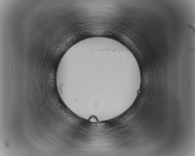 X0000100400497200806271424