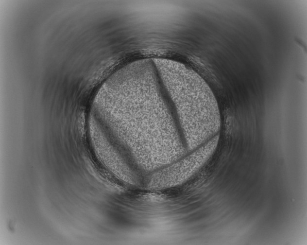 X0000100400498200806271424