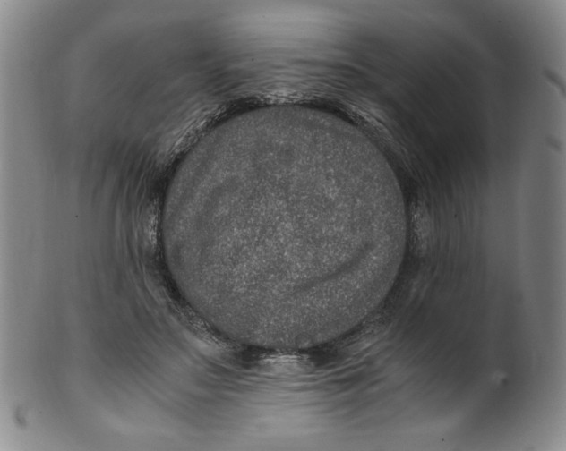 X0000100400499200806271424
