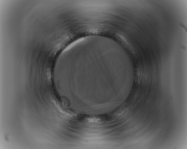 X0000100400500200806271424