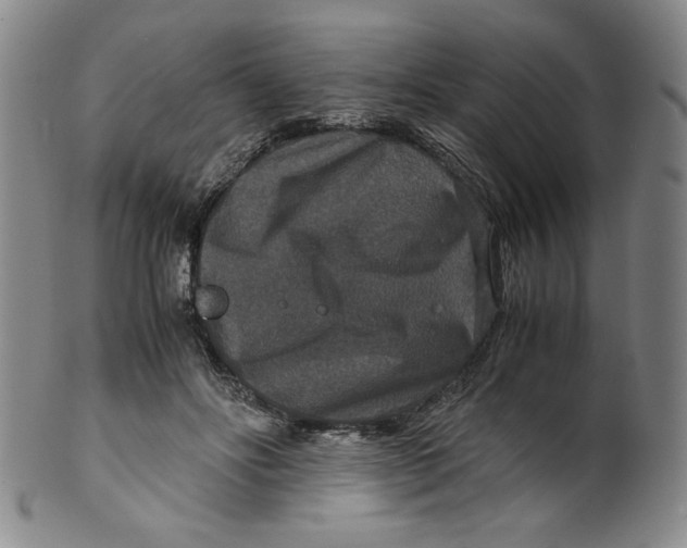 X0000100400502200806271424