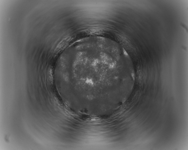 X0000100400506200806271424