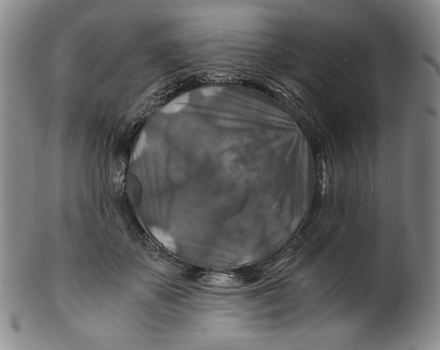 X0000100400507200806271424