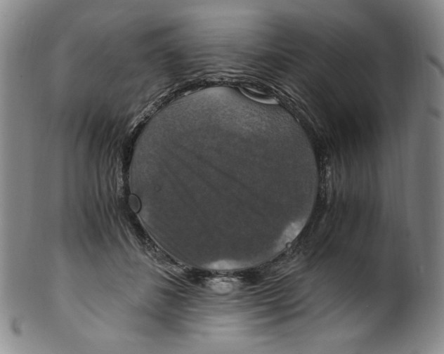 X0000100400508200806271424