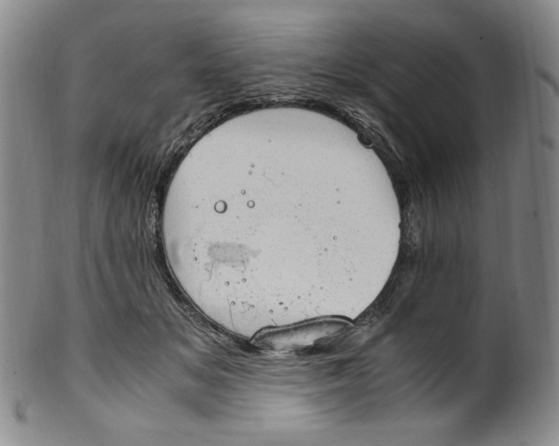 X0000100400509200806271424