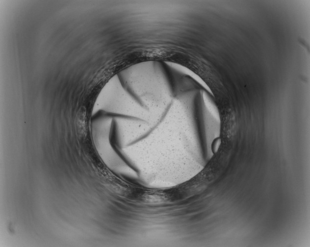 X0000100400510200806271424